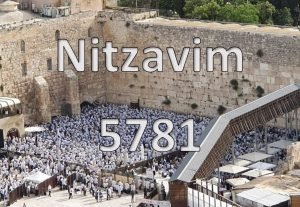 Nitzavim 5781 Pictorial Parsha Nitzavim 5781
