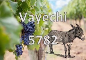 Pictorial Parsha Vayechi 5782