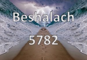 Featured Image Beshalach 5782 Pictorial Parsha Beshalach 5782