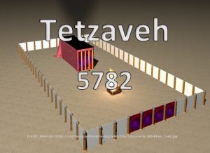 Pictorial Parsha Tetzaveh 5782