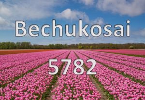 Bechukosai 5782 Pictorial Parsha Bechukosai 5782