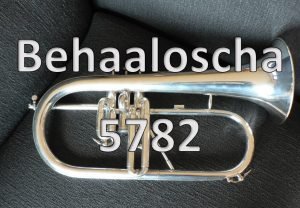 Behaaloscha 5782 Pictorial Parsha Behaaloscha 5782