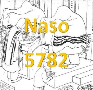 Pictorial Parsha Naso 5782