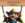 Thumbnail Pictorial Purim Volume II Pictorial Purim Volume II